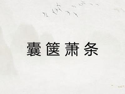 囊箧萧条 囊箧萧条