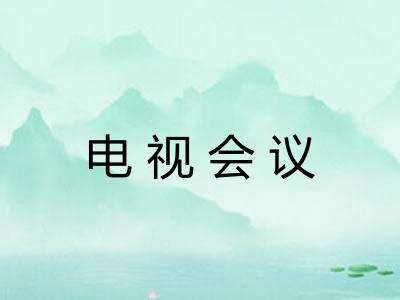 电视会议 电视会议