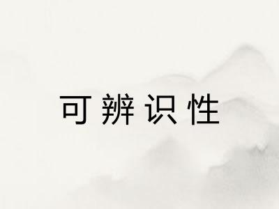 可辨识性 可辨识性