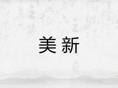 美新 美新