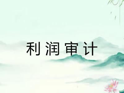 利润审计 利润审计