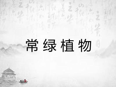 常绿植物 常绿植物