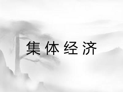 集体经济 集体经济