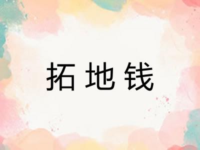 拓地钱 拓地钱
