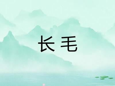 长毛 长毛