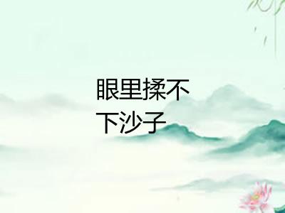 眼里揉不下沙子