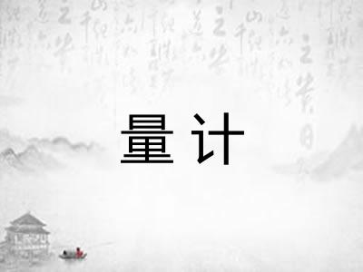量计 量计