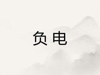 负电 负电