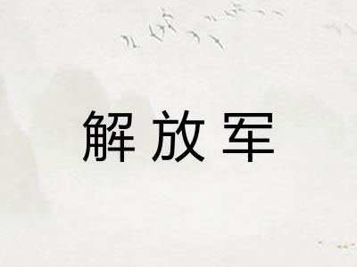 解放军 解放军