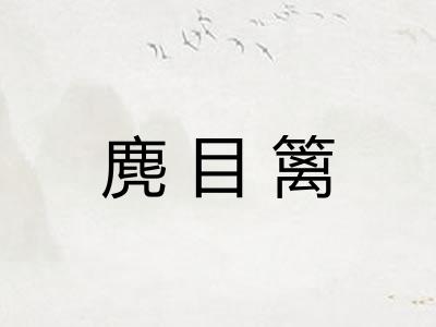 麂目篱 麂目篱