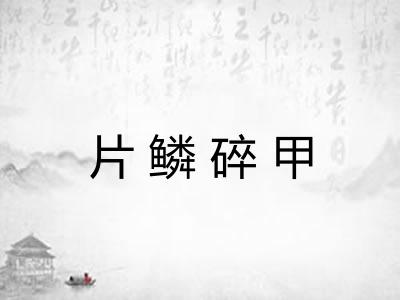 片鳞碎甲 片鳞碎甲