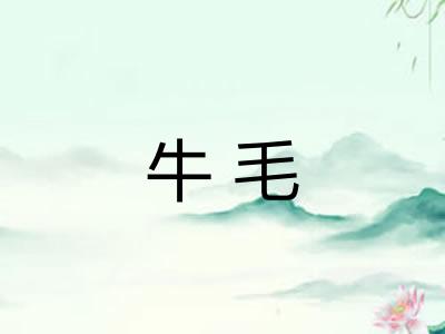 牛毛