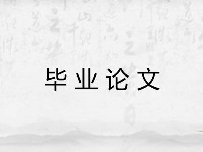 毕业论文 毕业论文