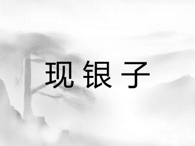 现银子 现银子