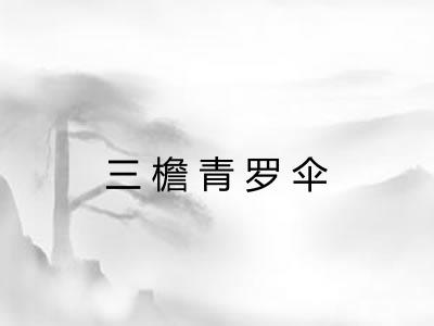 三檐青罗伞 三檐青罗伞