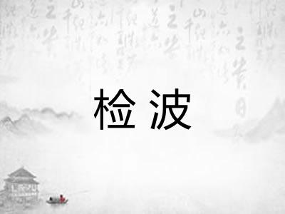 检波 检波
