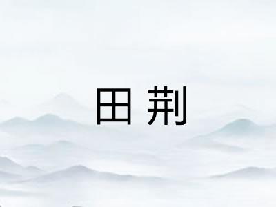 田荆 田荆
