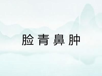 脸青鼻肿 脸青鼻肿