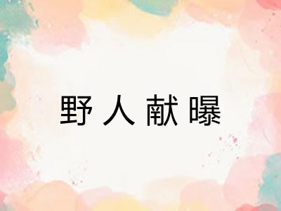 野人献曝 野人献曝