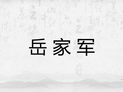 岳家军 岳家军