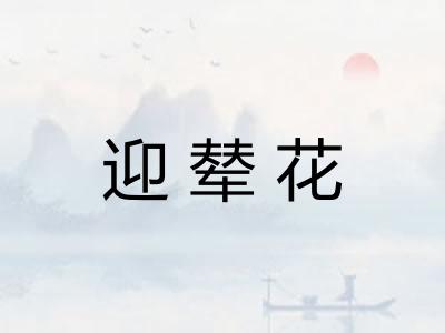 迎辇花 迎辇花