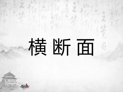 横断面 横断面