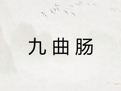 九曲肠 九曲肠