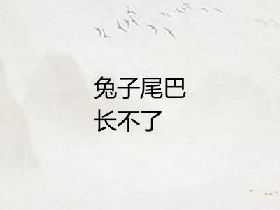 兔子尾巴长不了 兔子尾巴长不了