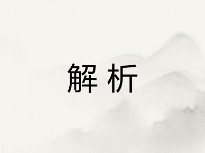 解析 解析