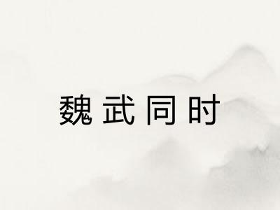 魏武同时 魏武同时