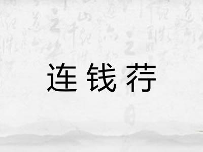 连钱荇 连钱荇