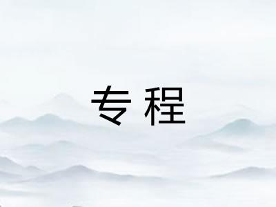 专程