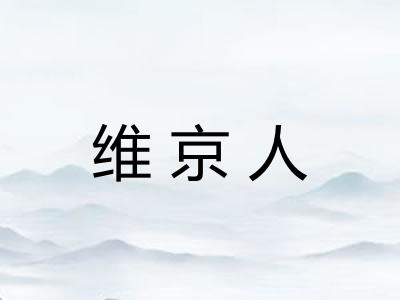维京人 维京人