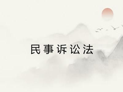 民事诉讼法 民事诉讼法