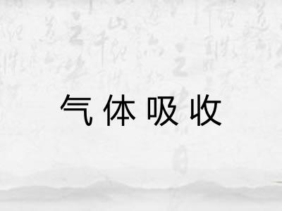 气体吸收 气体吸收