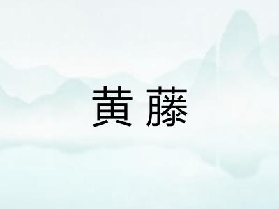 黄藤 黄藤