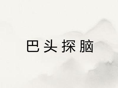 巴头探脑 巴头探脑