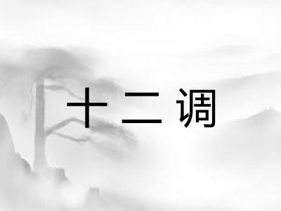 十二调 十二调