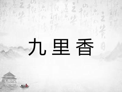 九里香 九里香