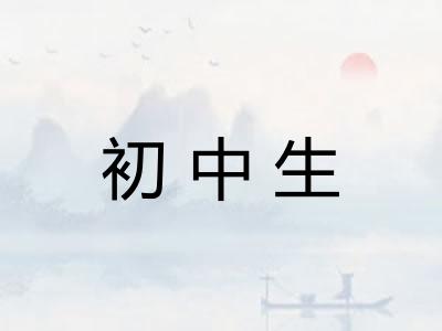 初中生