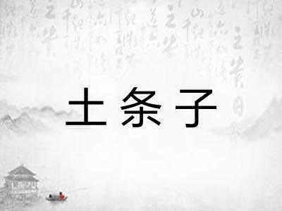 土条子 土条子