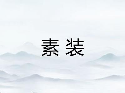 素装 素装