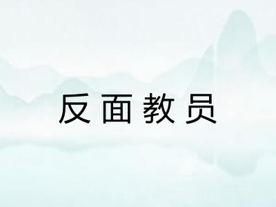 反面教员
