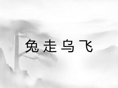 兔走乌飞 兔走乌飞