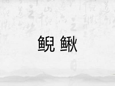 鲵鳅