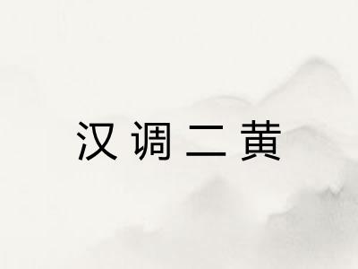 汉调二黄 汉调二黄