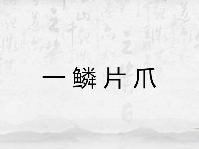 一鳞片爪 一鳞片爪