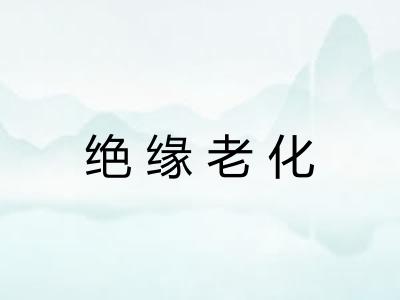 绝缘老化 绝缘老化