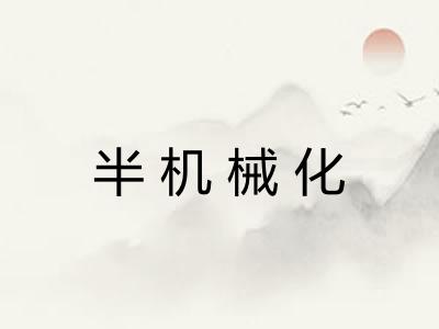 半机械化 半机械化