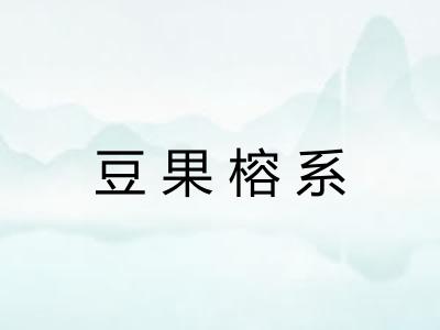 豆果榕系 豆果榕系